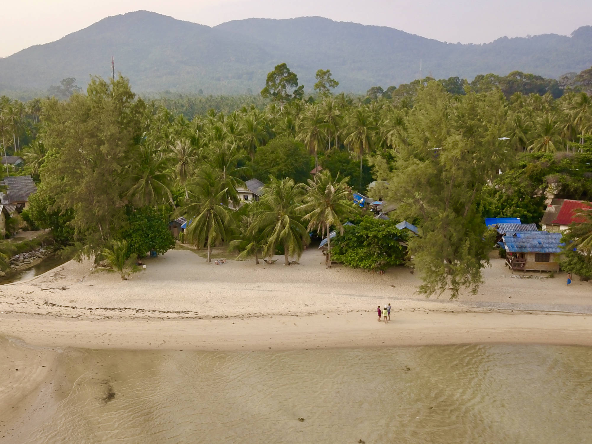 The beach and palm trees at Pink's Bungalows, Ban Tai, Koh Pha-ngan